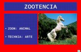 Zootecnia  general