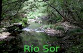 Espazo natural Río Sor