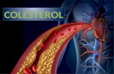 Diapositivas de colesterol 2016