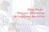 Pancreas anat,phy,cong.anamolies