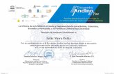 certificado de participación  del III Encuentro Andino de Paz