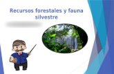 Recursos forestales y fauna silvestre