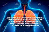Función del Oxígeno en el Control Respiratorio