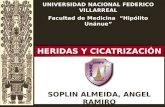 HERIDAS - PROCESO DE CICATRIZACIÓN