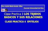 Clase practica # 4 Epitelios curso de Histología I Universidad del Sinu
