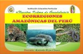 Ecorregiones amazónicas del perú