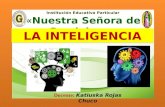 Inteligencia 2