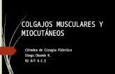 Colgajos musculares y miocutáneos