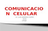 5.comunicacion. celular  2015
