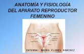 anatomia y fisiologia del aparato reproductor femenino
