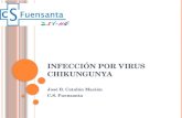 Infección por Virus Chikungunya