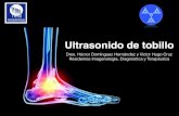 Ultrasonido de tobillo anatomía