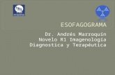 Esofagograma y Anatomía (Radiología Convencional)
