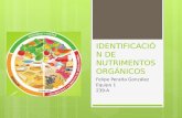 Identificación de nutrimentos orgánicos