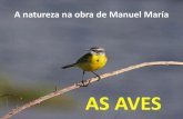 Manuel María. Aves