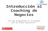 Introducción al Coaching de Ejecutivo