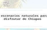 3 escenarios naturales para disfrutar de Chiapas