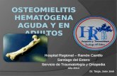 Osteomielitis hematógena aguda y en adultos