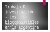 Trabajo de investigación - Los Biocombustibles en Argentina