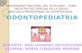 Mantenedores de-espacio-odontopediatria-ppt