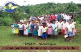 Comités Nacionales de Agricultura Familiar: Experiencia de UNAG y la importancia de la organización de los pequeños productores pecuarios.
