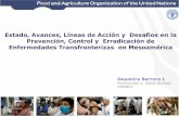 Estado, avances, líneas de acción y desafíos en el control y erradicación de enfermedades transfronterizas en Mesoamérica (FAO)