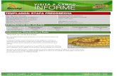Agrotestigo-Maiz DEKALB-Campaña 1213-Informe Pre-cosecha Nº92