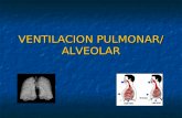 1.ventilacion pulmonar-y-alveolar