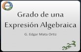 Grado de una expresión algebraica