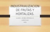 INDUSTRIALIZACION DE FRUTAS Y HORTALIZAS