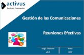 Pmi   área 10 - gestión de las comunicaciones - reuniones (33)