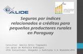 “Seguros por índices relacionados a créditos para pequeños productores rurales en Paraguay”