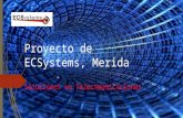 Proyecto de ECSystems, Merida