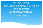 Búsqueda bibliográfica en base de datos internacional