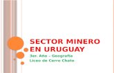 Presentación minería en uruguay