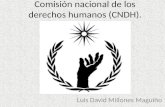 Comisión nacional de los derechos humanos (CNDH)