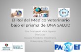 Rol del MV bajo el prisma de Una Salud - M. Vidal