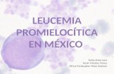 Leucemia promielocítica en méxico