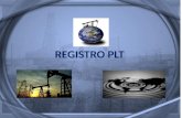 Registro de Producción (PLT)