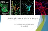 Topicos inmunología II: Neutrophil Extracellular Traps (NET)
