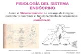 Fisiología del Sistema endócrino