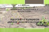 Proyecto fundech ptt