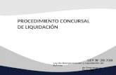 Procedimiento Concursal Liquidacion