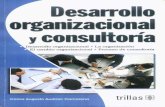 Desarrollo organizacional y consultoria
