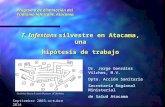 Triatoma infestans silvestre en Atacama, una hipótesis de trabajo.