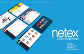 Netex | Soluciones Corporativas LearningMEX 2016 [ES]
