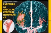 Enfermedad vascular cerebral hemorrágica