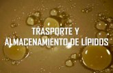 TRANSPORTE Y ALMACENAMIENTO DE LIPIDOS