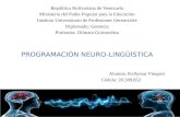 Programacion Neuro Linguistica