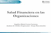Salud financiera en las organizaciones